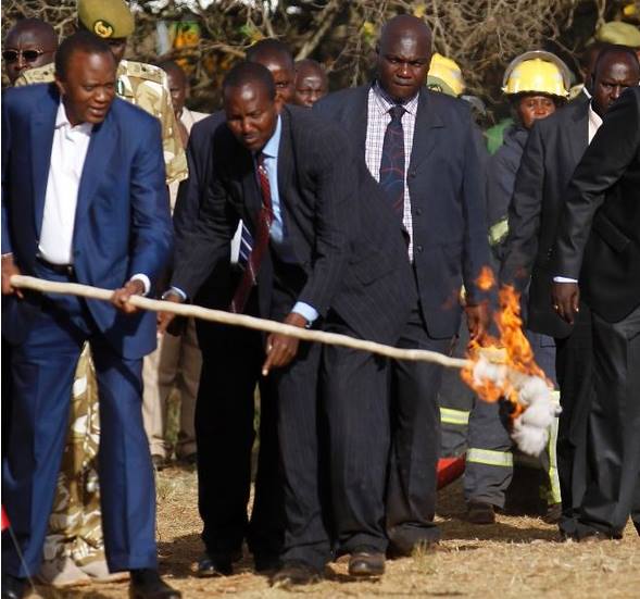 President Uhuru will today lead the world to set fire on the largest cache of ivory ever destroyed at a go by any country. But the irony is that his family has been linked with the illegal trade of ivory!