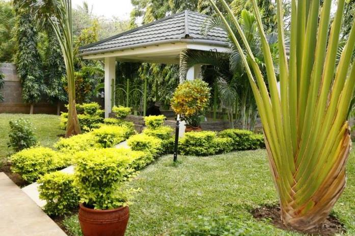 Garden of Eden? Photos of Aden Duale's palace in Garissa that have left many speechless - Ghafla!