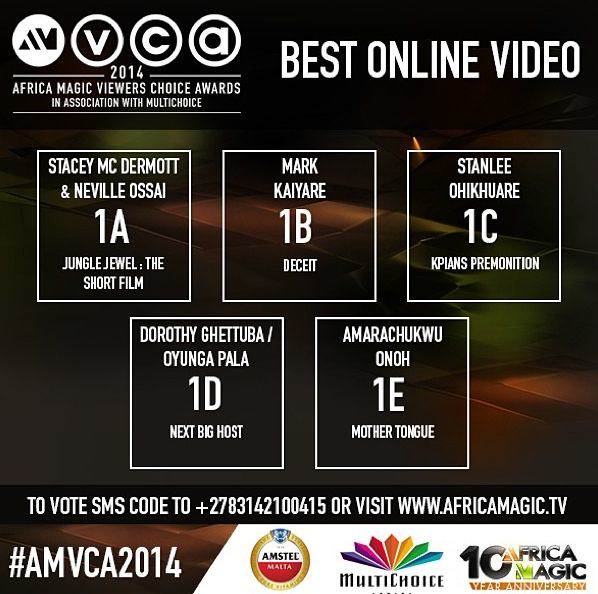 2014-AMVCA-Best-Online-Video-Decemeber-2013-BellaNaija.jpg