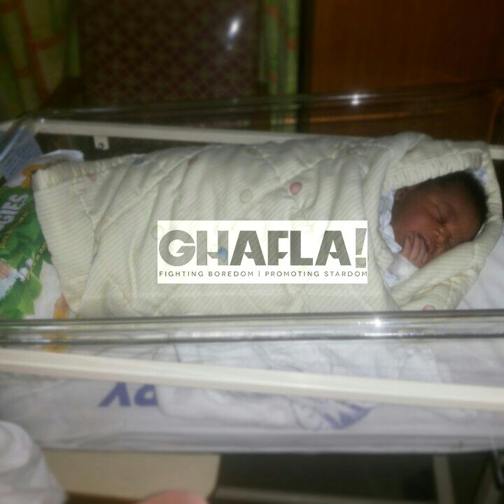 Ali_Baba_baby_Taji_2.jpg