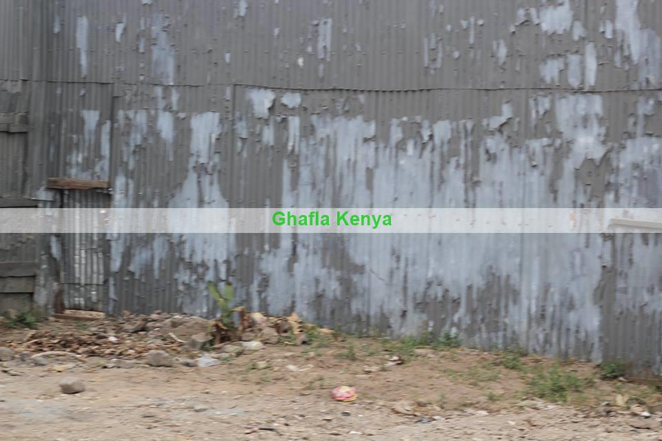 Chege_3.jpg