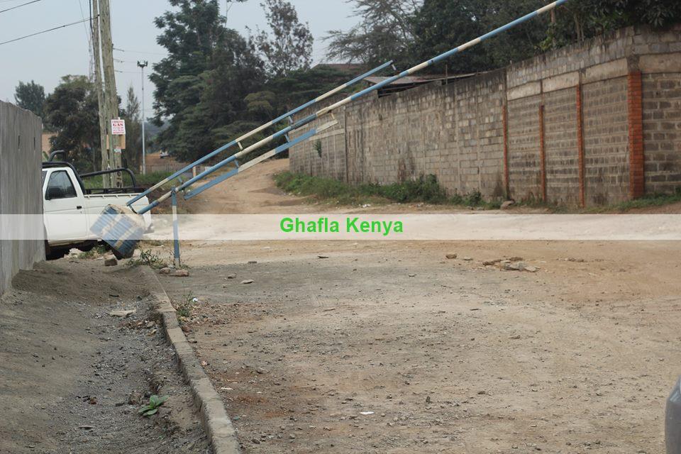 Chege_4.jpg