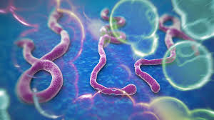 ebolaaaaaaaaaaaaaaaaa