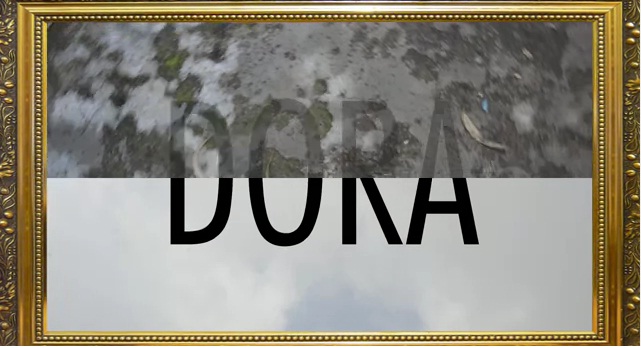DORA.jpg