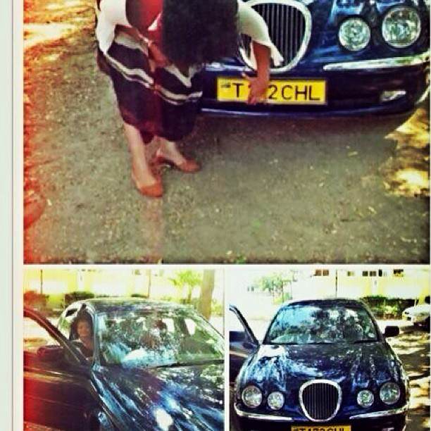 JAGUAR_RAY_C.jpg