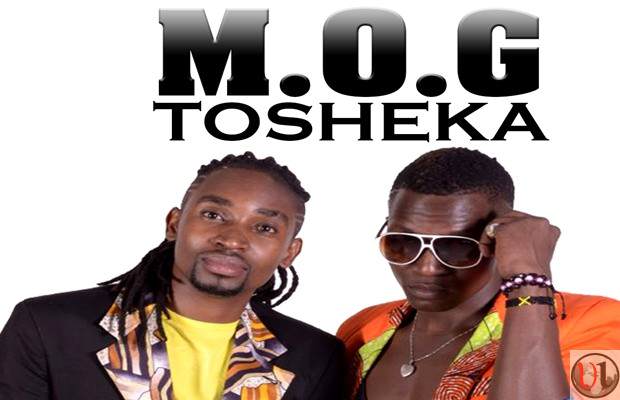 MOG-Kenya-tosheka.jpg