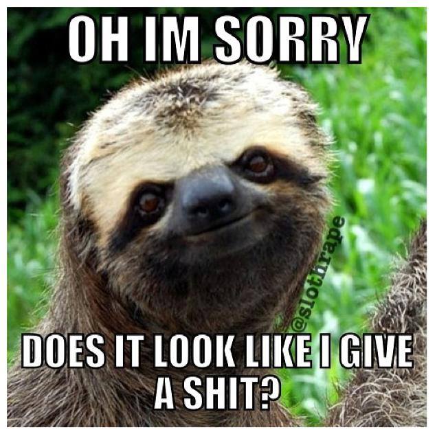 SLEAZY_SLOTH.jpg
