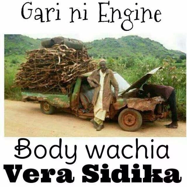 Vera_troll.jpg