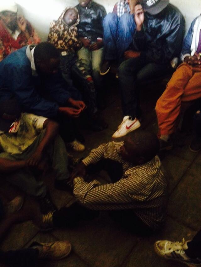 alai_c2.jpg