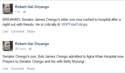 alai_orengo.jpg