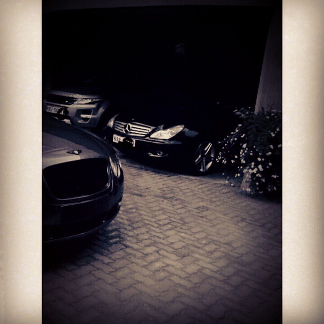 annerlisa_cars.jpg
