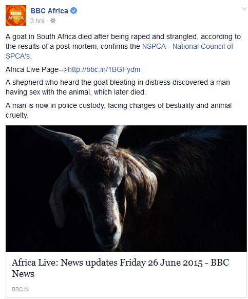 bbc_africa.jpg