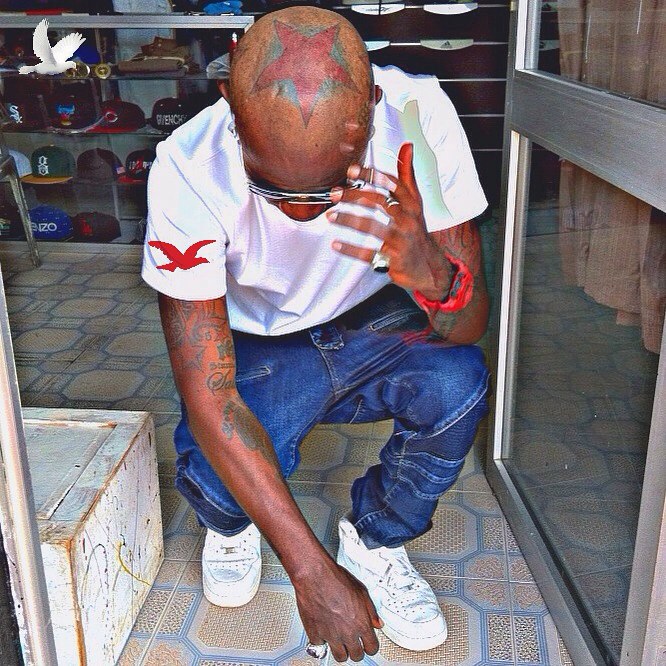 birdman_k5.jpg