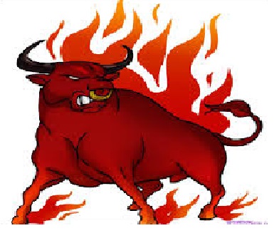 bull.jpg