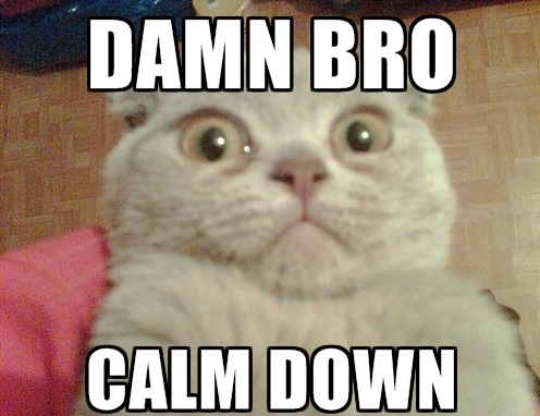 calm downnnn