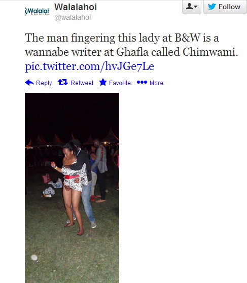 chim_jpg.jpg