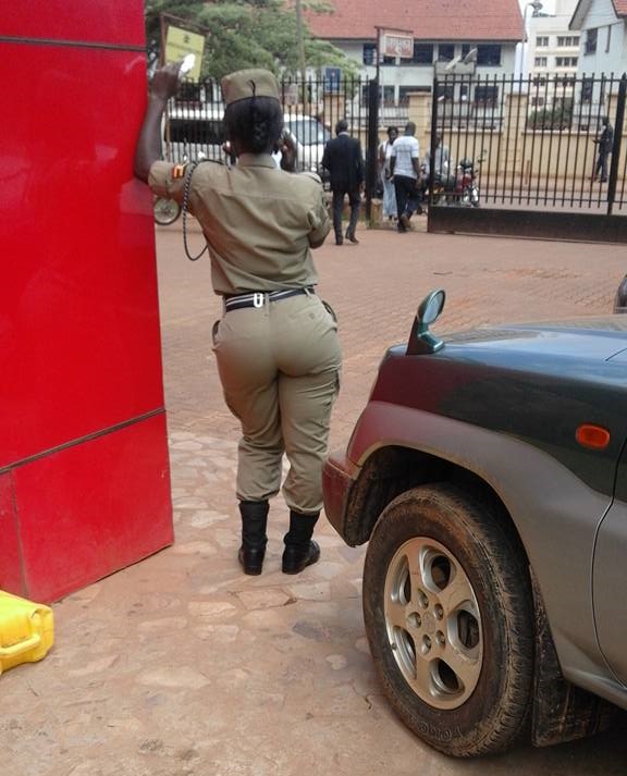 cop1.jpg