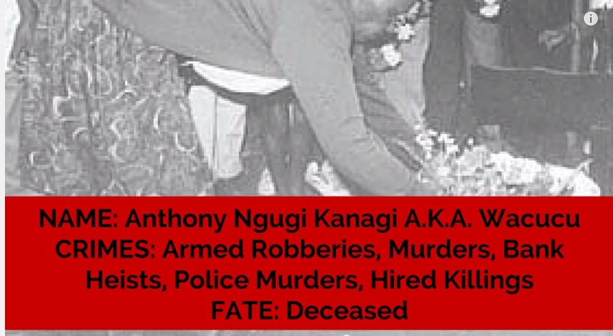 crime_5.jpg