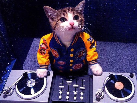 deejay_cat.jpg