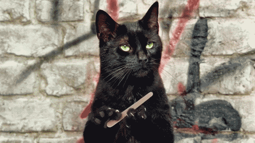 filingnailscat.gif