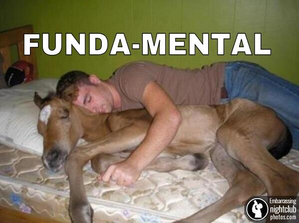 funda_mental.jpg