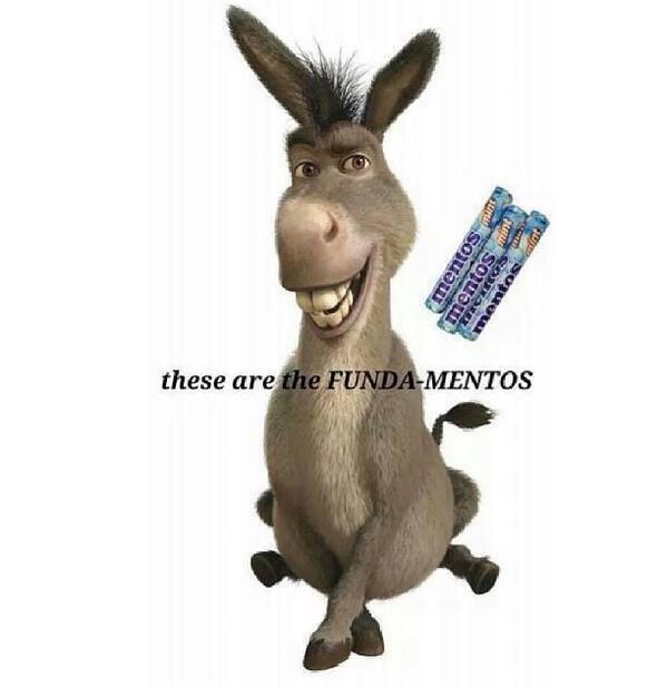 funda_mentos_1.jpg