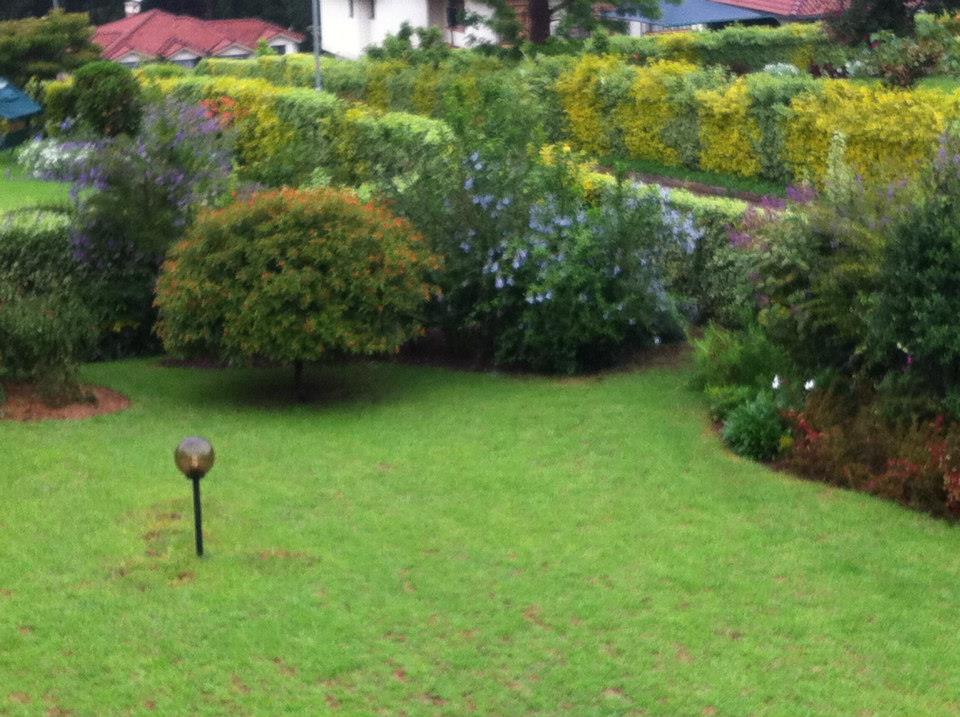 garden2
