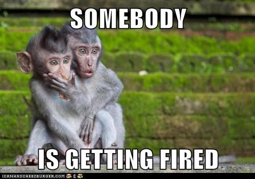 getting_fired.jpg