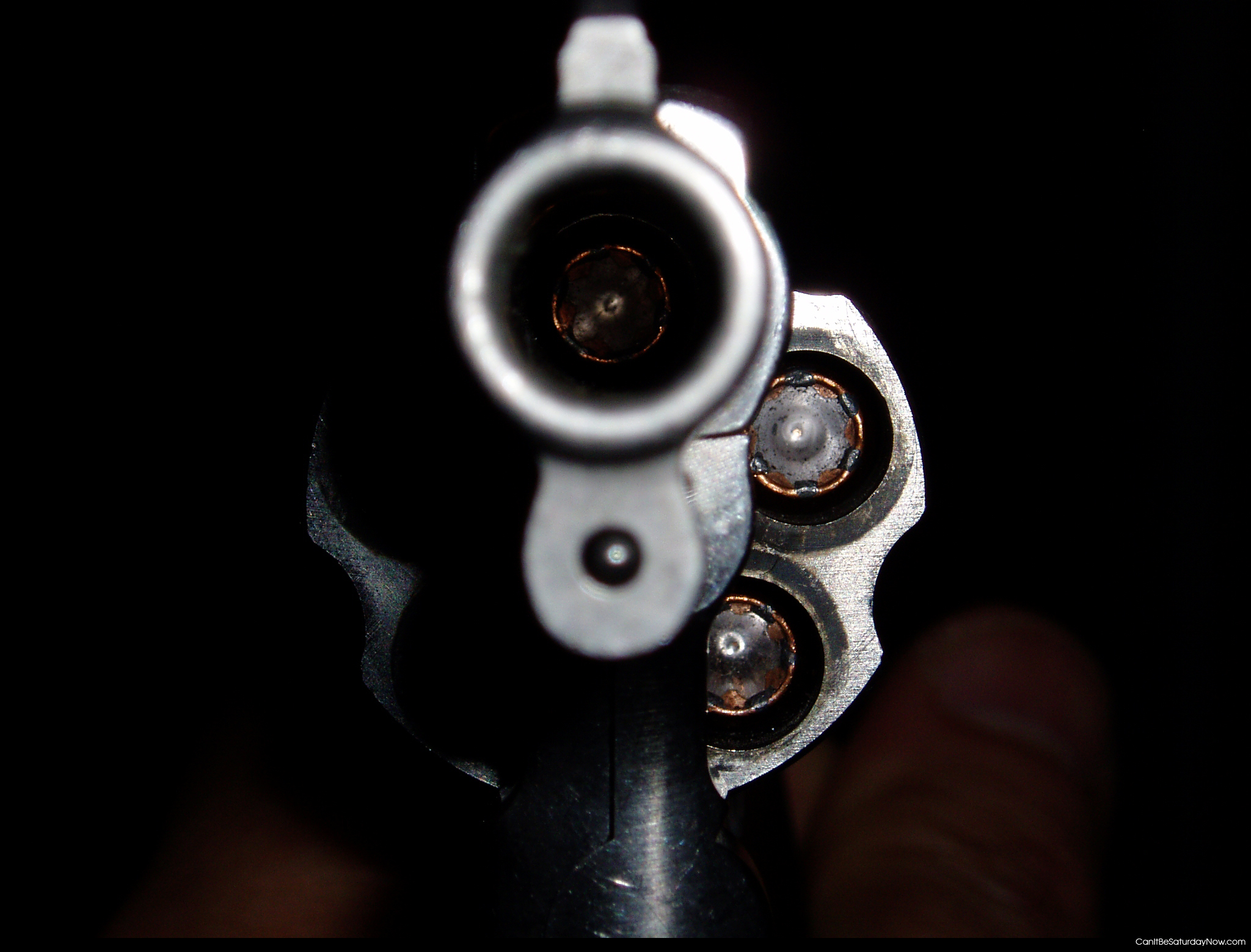 gun2.jpg