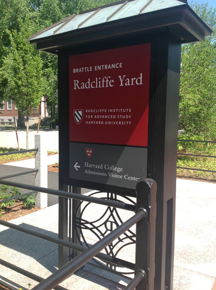 harvard.jpg