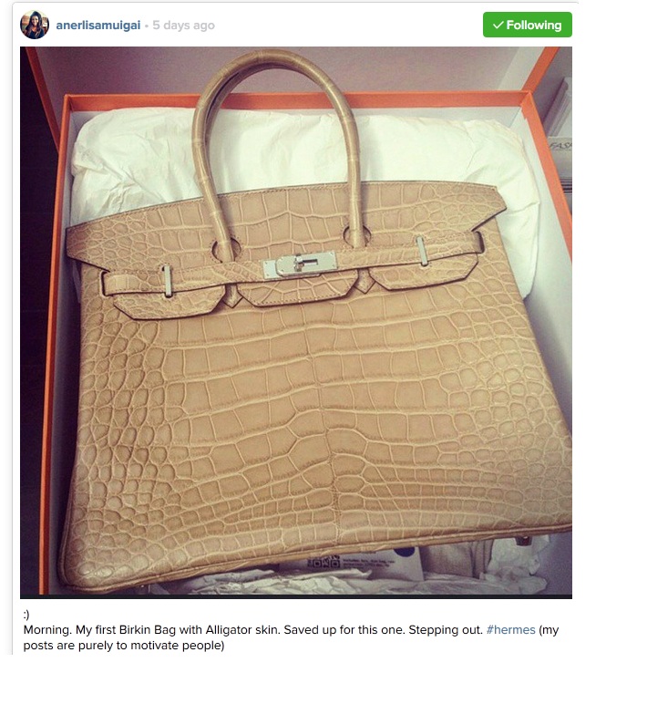 hermes_bag.jpg