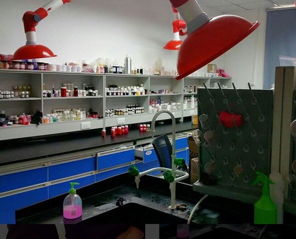 hufddah_lab.JPG