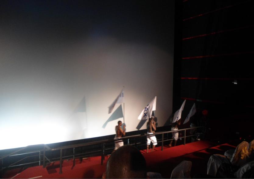 imax 6