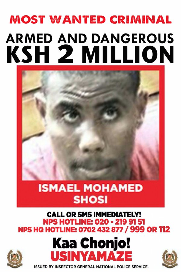 ismael_mogamed.jpg