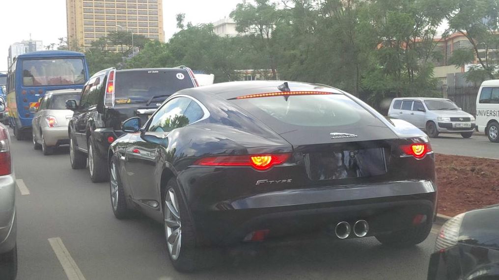 jaguar_bb.jpg