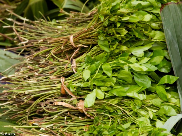 khat.jpg
