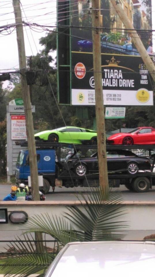 lambo_fer.jpg