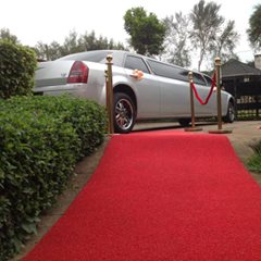 limo_1.jpg