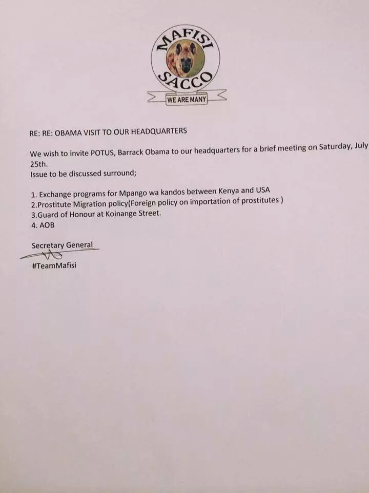 mafisi_t.jpg