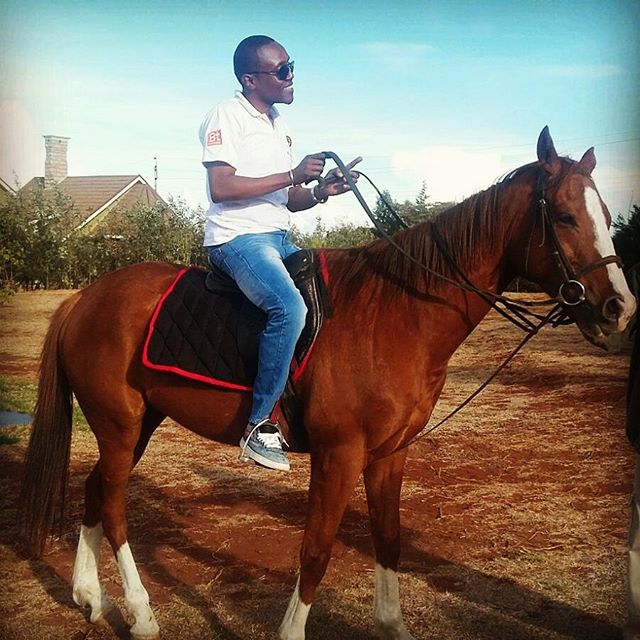 maian_horse.jpg
