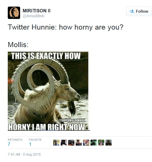mollis_3.jpg