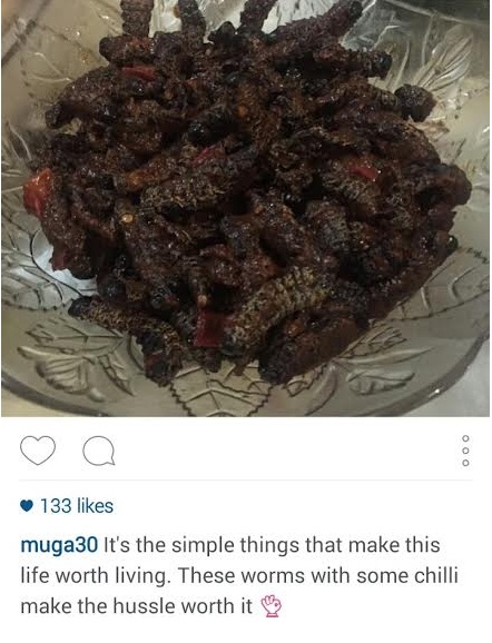 muga_worms.jpg