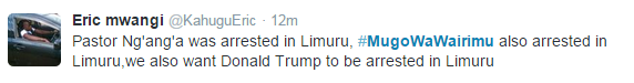 mugo_11.PNG