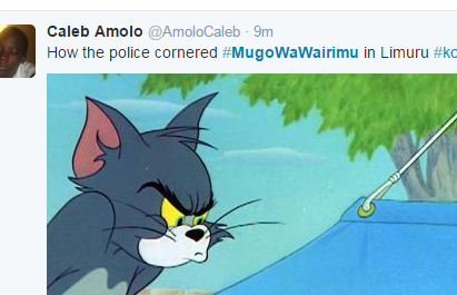 mugo_tweet_10.PNG