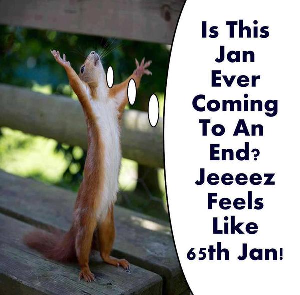 njaanuary_3.jpg