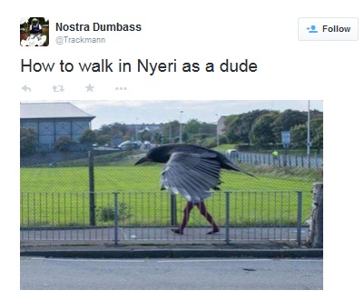 nyeri_wn_5.jpg