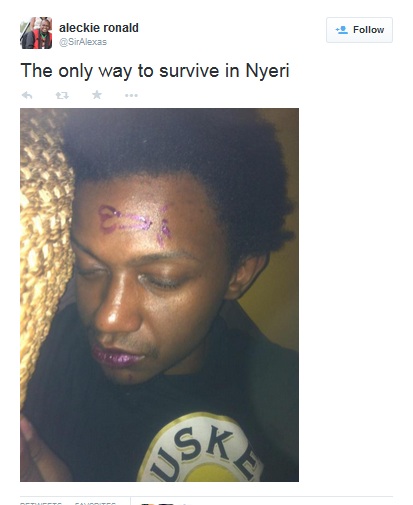 nyeru_wmn.jpg
