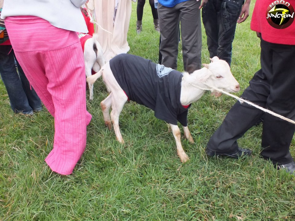 one of contestants