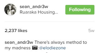 seanmadness.JPG