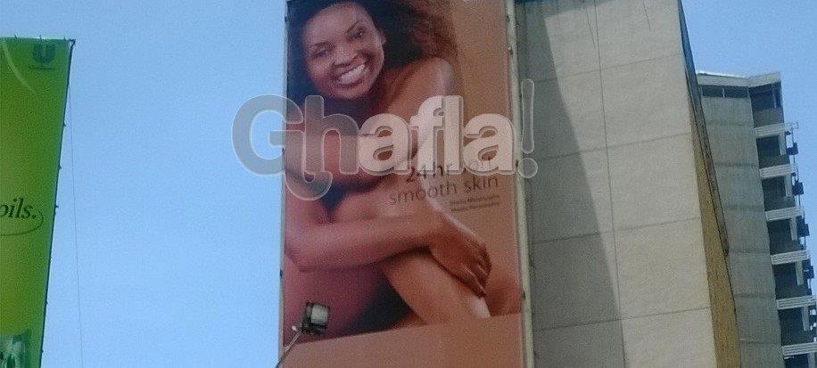 sheila.jpg